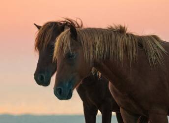 L'avenir (Wenjin Wu) - Muzeo.com