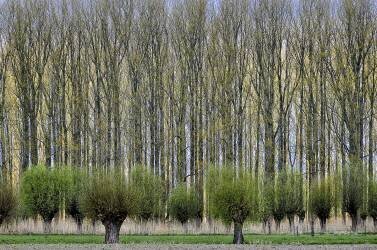 Layers (Henk van Maastricht) - Muzeo.com