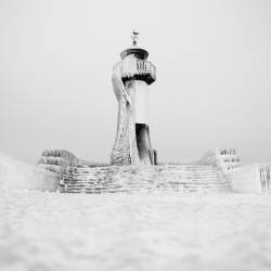 Le roi couronné (Ronny Behnert) - Muzeo.com