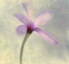 Leave (Corinna van der Ven) - Muzeo.com