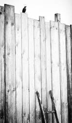 Libéré (Jurgen Hartlieb) - Muzeo.com