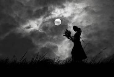 Liebestraum (Hengki Lee) - Muzeo.com