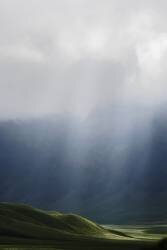 Light (Tri Andy Ritonga) - Muzeo.com