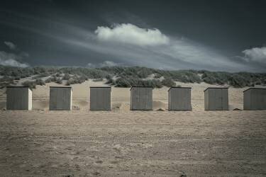 Lined up (Bernardine de Laat) - Muzeo.com