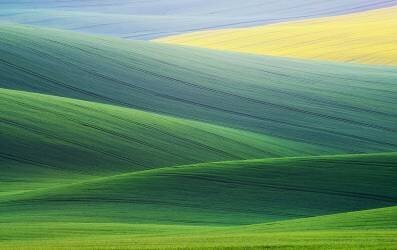 Lines (Ales Komovec) - Muzeo.com