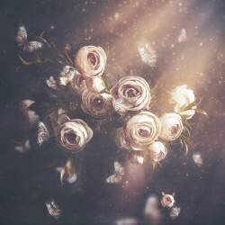 L'invasion (Çiçek Kıral) - Muzeo.com