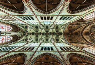 Looking Up (Gerard Jonkman) - Muzeo.com