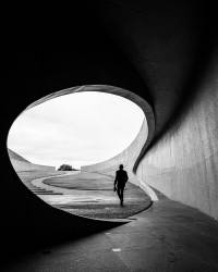 Mangé par la baleine (Sofie Steenhoudt) - Muzeo.com