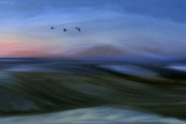 Migrants (Bjorn Emanuelson) - Muzeo.com