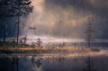 Misty Moment (Andreas Christensen) - Muzeo.com