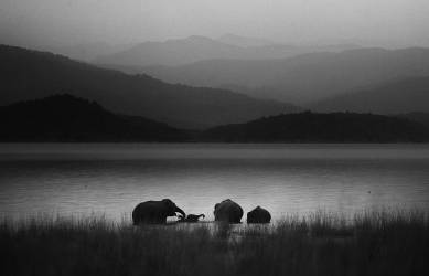 Moods of family (Swapnil) - Muzeo.com