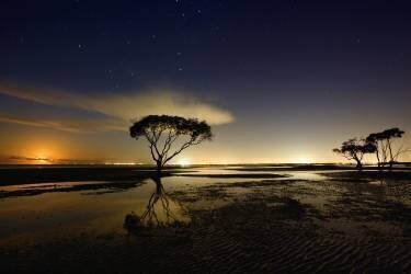 Moonrise (Mel Brackstone) - Muzeo.com