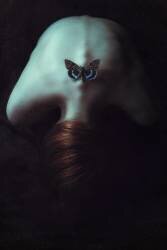 Moth (Magdalena Russocka) - Muzeo.com