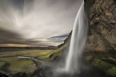 Étude de la nature (Bragi Ingibergsson) - Muzeo.com