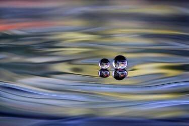 oO (Sugeng Sutanto) - Muzeo.com