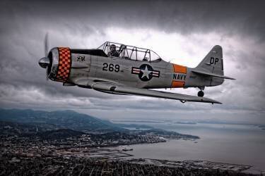 Over Under (Thomas T.) - Muzeo.com