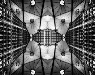 Papillon urbain (EM-Photographies) - Muzeo.com