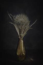 Peaceful (Çiçek Kıral) - Muzeo.com