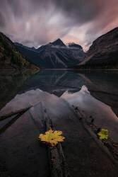 Peaceful (Lydia Jacobs) - Muzeo.com