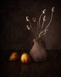 Pear (Margareth Perfoncio) - Muzeo.com