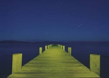 Peinture nocturne (Carli Choi) - Muzeo.com