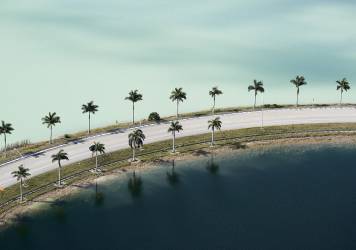 Photographie aérienne de deux étangs traversés par une route bordée de palmiers (Cameron Davidson) - Muzeo.com