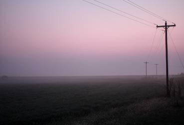 Pink Fog (Candice Rae) - Muzeo.com
