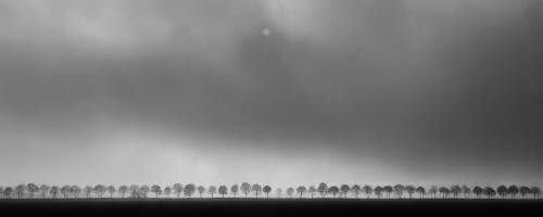 Polderlandscape (Huib Limberg) - Muzeo.com