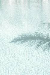 Pool 6 (1x Studio III) - Muzeo.com