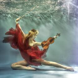 Prelude (Uniquecapture) - Muzeo.com