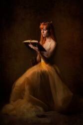 Livre rouge (Amnon Eichelberg) - Muzeo.com