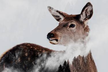 Respirez (Angyalosi Beata) - Muzeo.com