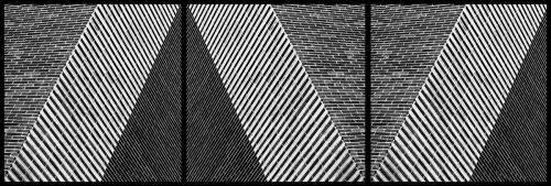 Rolling Dice (Paulo Abrantes ) - Muzeo.com