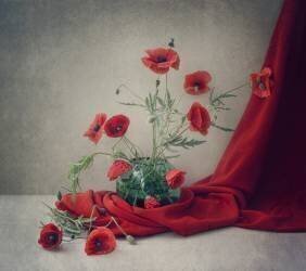 Rouge (Dimitar Lazarov) - Muzeo.com