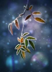 Sans titre (Nikki Georgieva V) - Muzeo.com