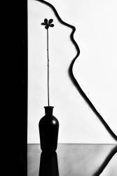 Sans titre (Stephen Clough) - Muzeo.com