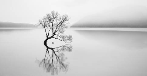 Serenity (Neville Jones) - Muzeo.com