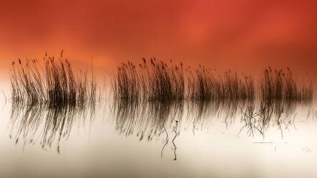 Serenity (Rui David) - Muzeo.com