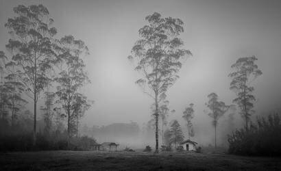 Serenity (Angela Muliani Hartojo) - Muzeo.com