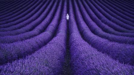 She (Lluis de Haro) - Muzeo.com