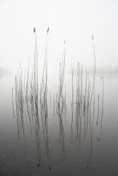 Silence (David Ahern) - Muzeo.com