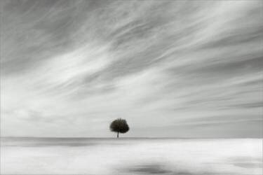 Single (Gilbert Claes ) - Muzeo.com