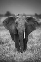 Singularity (Jaco Marx) - Muzeo.com