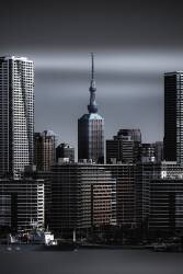 Skytree (Amatou T) - Muzeo.com