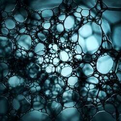 Soap (Niels Christian Wulff) - Muzeo.com