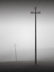 Solidarité (Ronny Behnert) - Muzeo.com