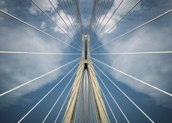 Spider (Nico T) - Muzeo.com