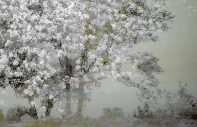 Spring (Nel Talen) - Muzeo.com