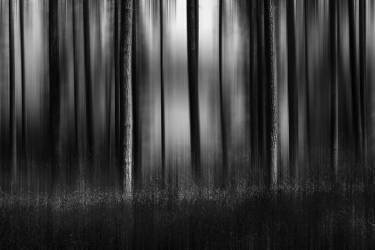 spring 2021 (Isam Telhami) - Muzeo.com