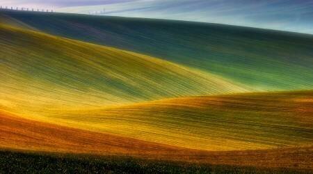 Spring fields (Piotr Krol (Bax)) - Muzeo.com